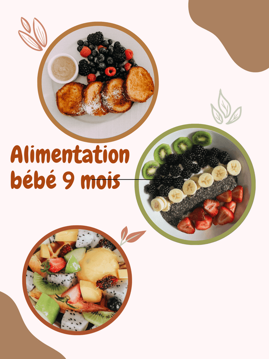alimentation bébé 9 mois - Joli bébé maman